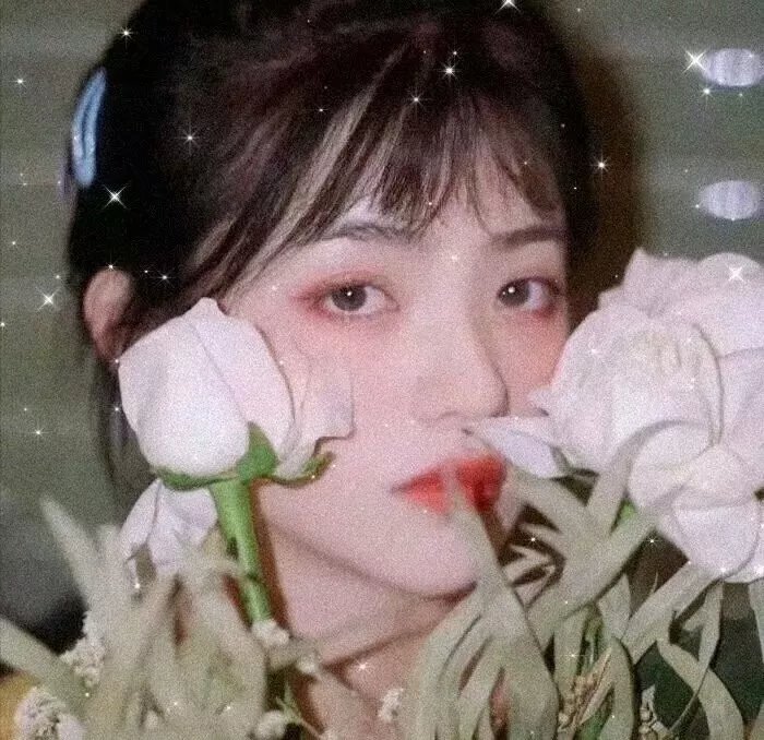 教会与国家